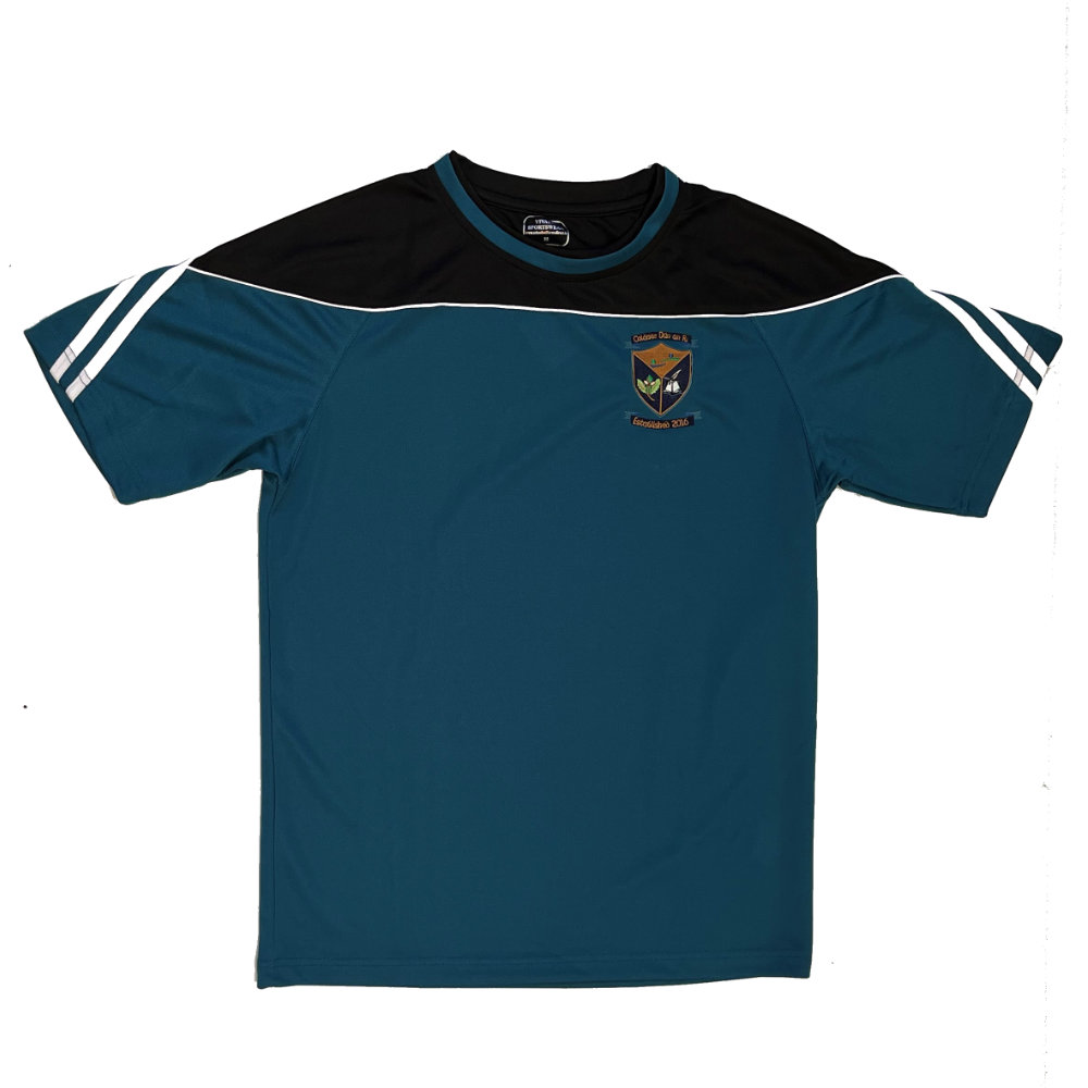 Coláiste Dún an Rí T-Shirt
