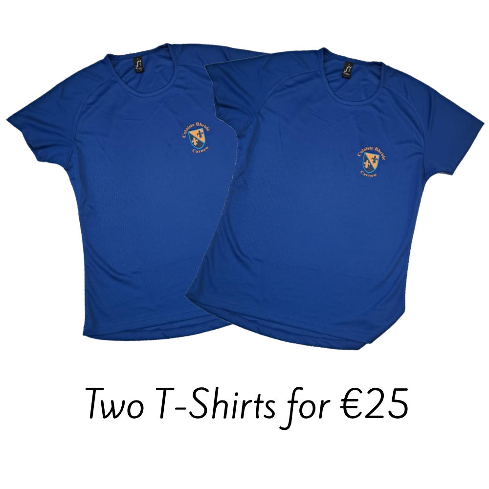 Colaiste Bhride T-Shirt (x2)