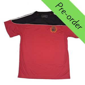 Gaelcholáiste Cheatharlach T-shirt Pre-order